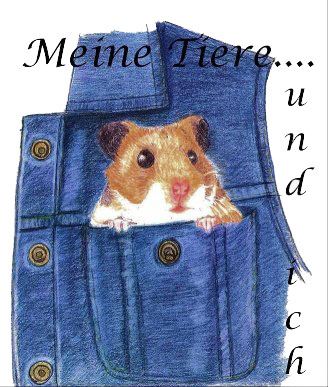 hamsterbild 2